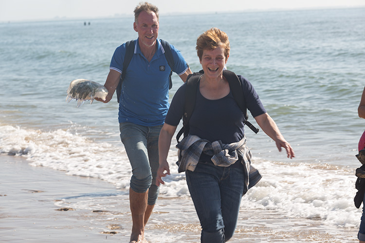 Wandeling Zoutelanden